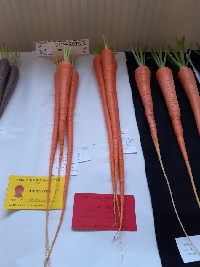 Shevington show 2022